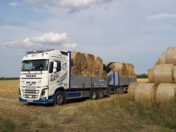 Transporte